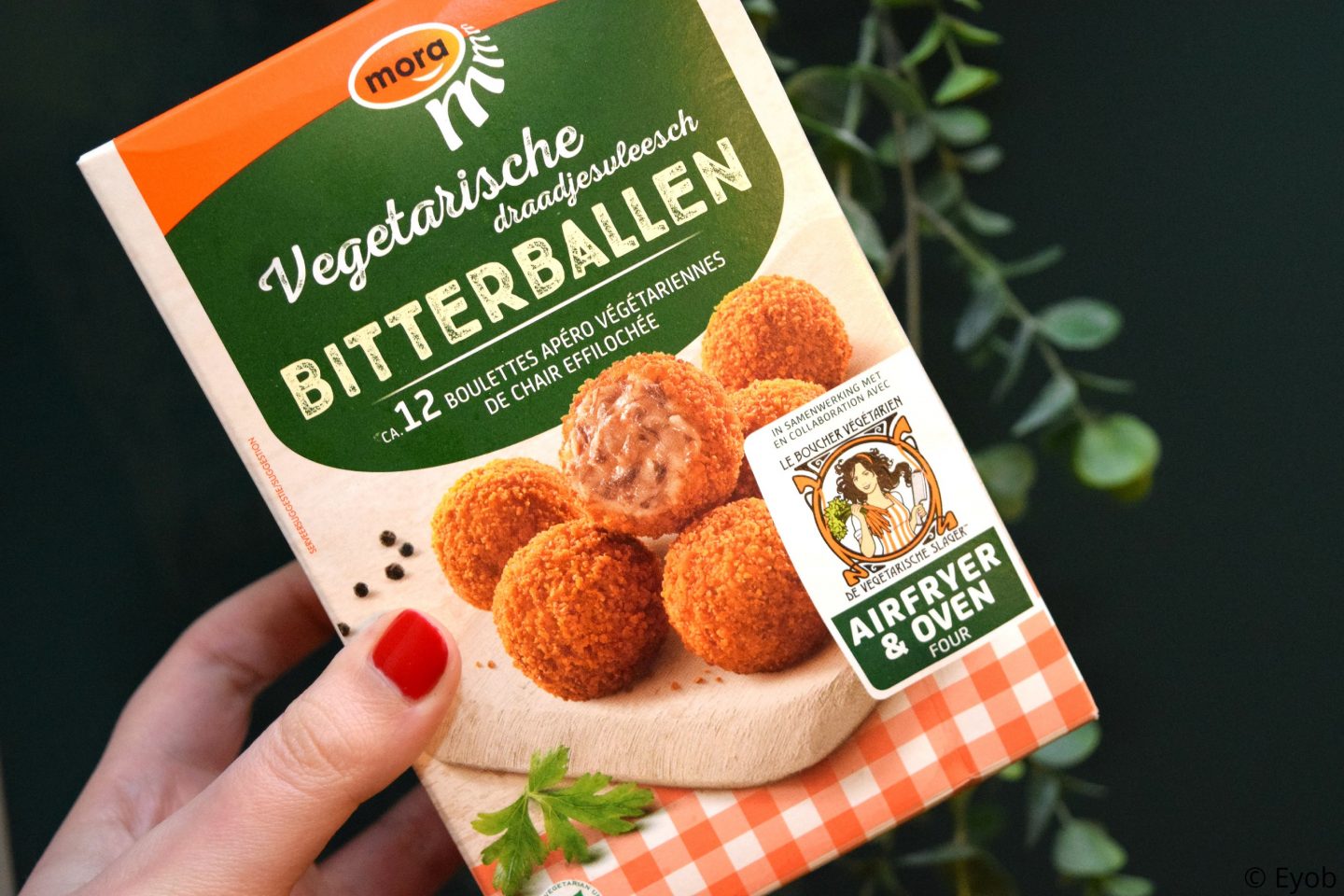 Vegetarische bitterballen